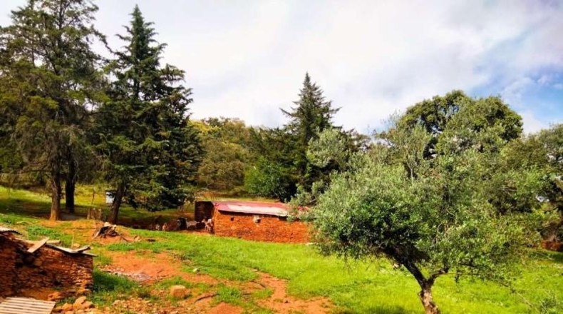Huelva - Aroche - 45978m2
