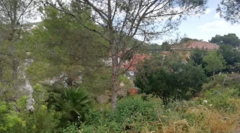 Barcelona - Canyelles - 491m2