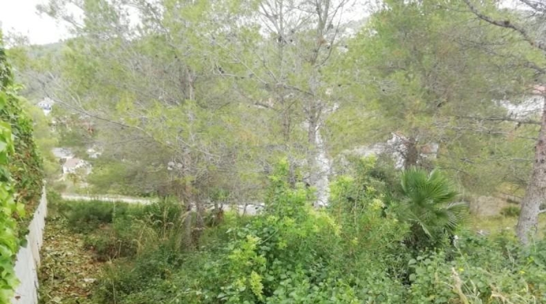 Barcelona - Canyelles - 491m2