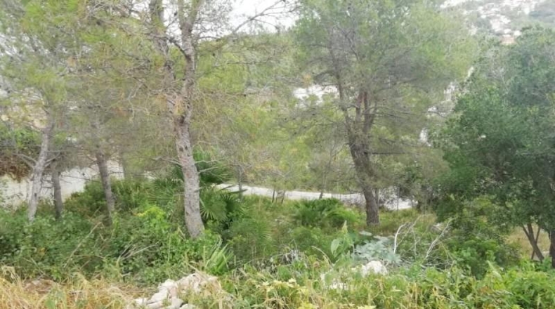Barcelona - Canyelles - 491m2