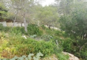 Suelo urbano en venta en la España, Canyelles, ref: TR113706 foto