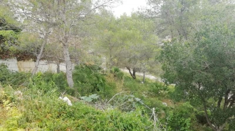 Barcelona - Canyelles - 491m2