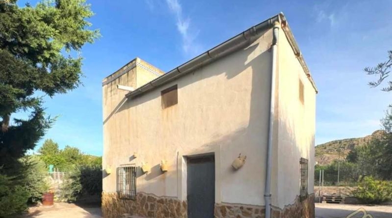 Murcia - Ricote - 10050m2