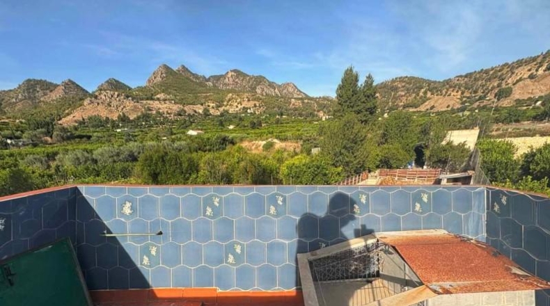 Murcia - Ricote - 10050m2