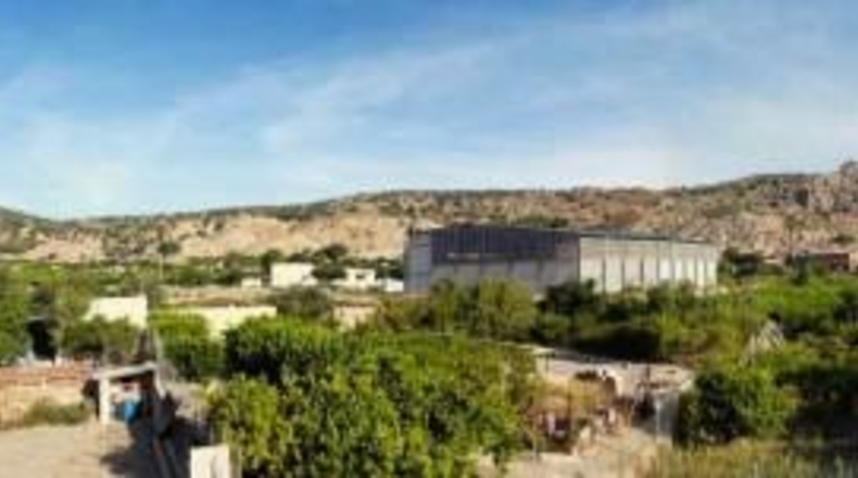 Murcia - Ricote - 10050m2