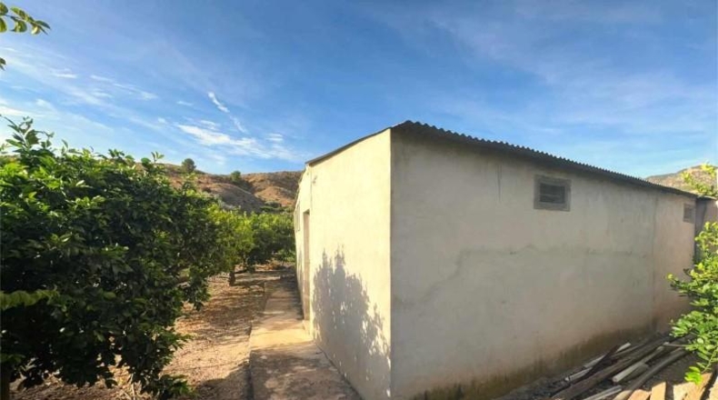 Murcia - Ricote - 10050m2
