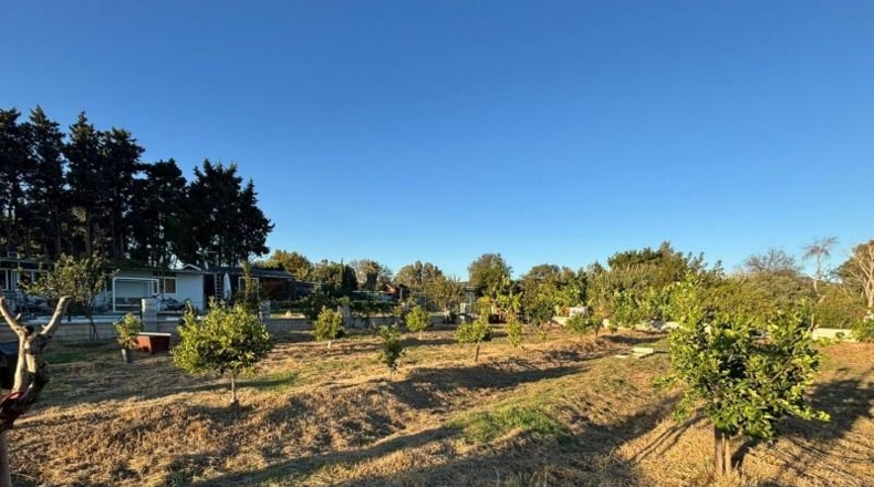 Cádiz - Los Barrios - 800m2