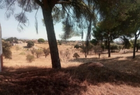 Garrovillas de Alconétar 6200&nbsp;m²