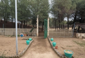 Foto 15