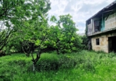Country house with land for sale on España, Piñor, ref: TR409491 photo