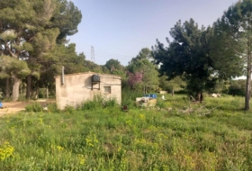 Reus 8006&nbsp;m² 