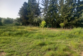 Reus 8006&nbsp;m² 
