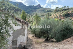 Villanueva del Arzobispo 7287&nbsp;m²