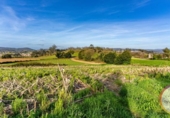 Suelo urbano en venta en la España, A Laracha, ref: TR409503 foto