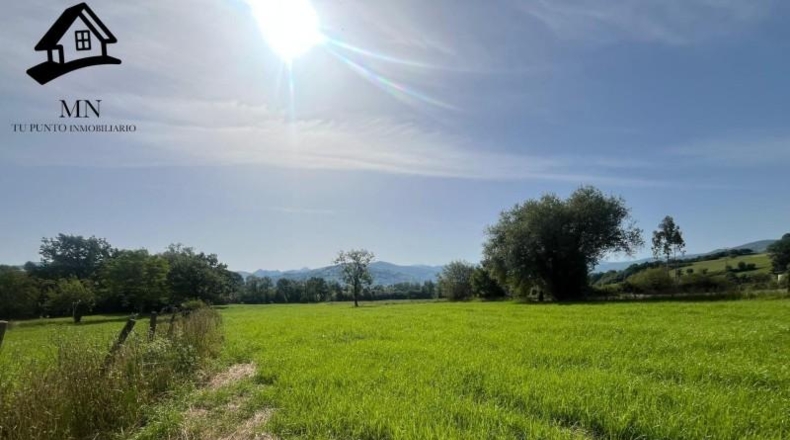 Cantabria - San Martín de Villafufre - 3849m2