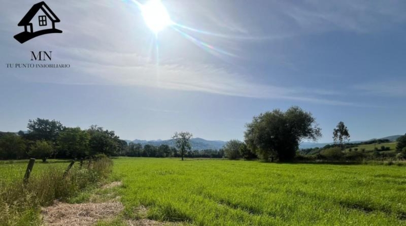 Cantabria - San Martín de Villafufre - 3849m2
