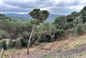Dosrius 948&nbsp;m² 