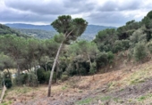 Terreno no urbanizable en venta en la España, Dosrius, ref: TR394708 foto