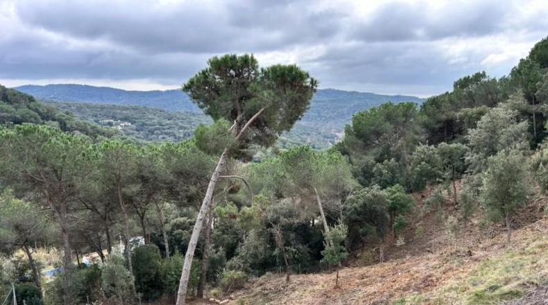 Barcelona - Dosrius - 948m2