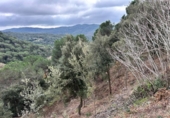 Terreno no urbanizable en venta en la España, Dosrius, ref: TR394708 foto