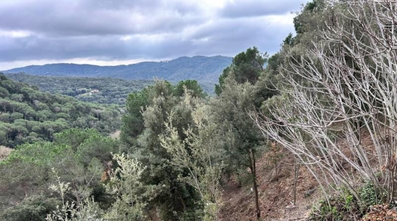 Barcelona - Dosrius - 948m2
