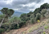 Terreno no urbanizable en venta en la España, Dosrius, ref: TR394708 foto