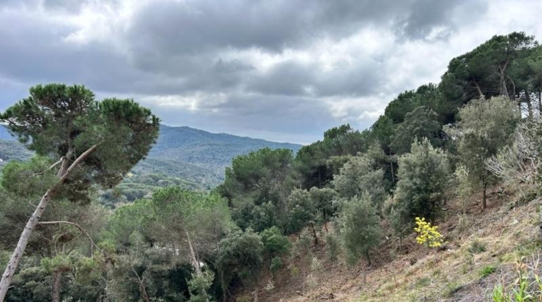 Barcelona - Dosrius - 948m2