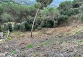 Terreno no urbanizable en venta en la España, Dosrius, ref: TR394708 foto