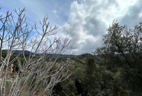 Dosrius 948&nbsp;m² 