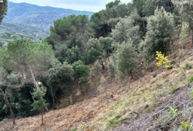 Dosrius 948&nbsp;m² 