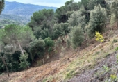 Terreno no urbanizable en venta en la España, Dosrius, ref: TR394708 foto