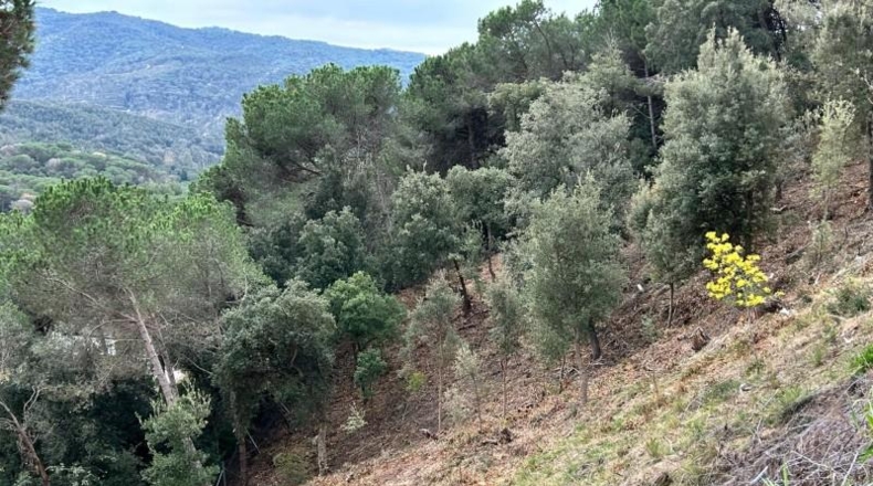 Barcelona - Dosrius - 948m2