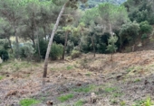 Terreno no urbanizable en venta en la España, Dosrius, ref: TR394708 foto