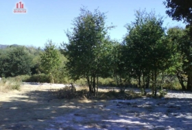 Nogueira 4106&nbsp;m²