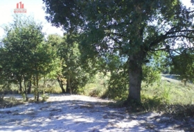Nogueira 4106&nbsp;m²