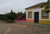 Terreno no urbanizable en venta en la España, Córdoba, ref: TR119334 foto