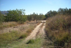 Foto 8