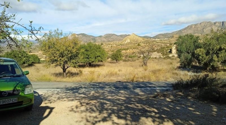 Murcia - Abanilla - 1500m2
