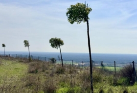 Cuéllar 18480&nbsp;m²