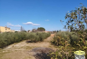 Alcover 1026&nbsp;m² 