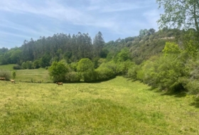 Bustriguado 6580&nbsp;m²