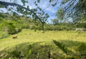 Non-developable land for sale on España, Bustriguado, ref: TR363317 photo