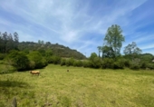 Non-developable land for sale on España, Bustriguado, ref: TR363317 photo