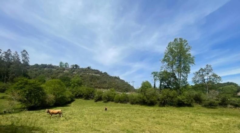 Cantàbria - Bustriguado - 6580m2