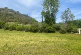 Bustriguado 6580&nbsp;m²