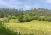 Non-developable land for sale on España, Bustriguado, ref: TR363317 photo