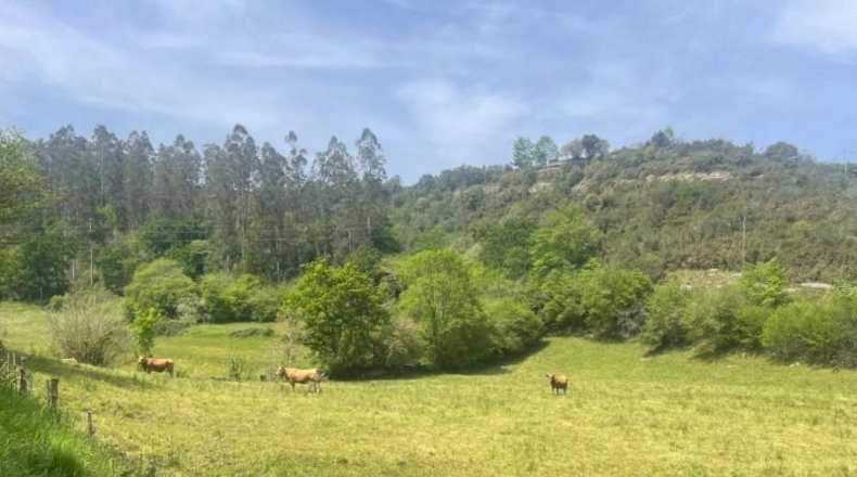 Cantàbria - Bustriguado - 6580m2