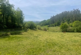 Bustriguado 6580&nbsp;m²