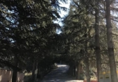 Suelo urbano en venta en la España, Dúdar, ref: TR202799 foto