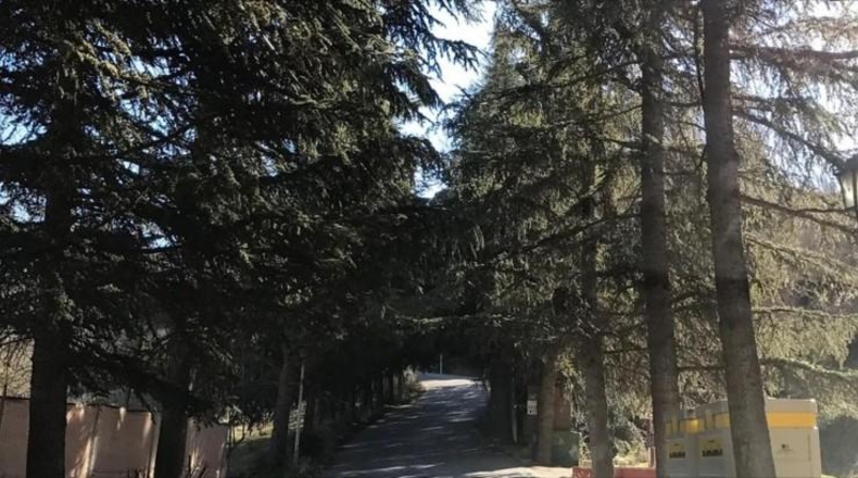 Granada - Dúdar - 1200m2